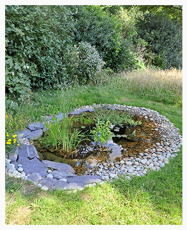 Garden Scene