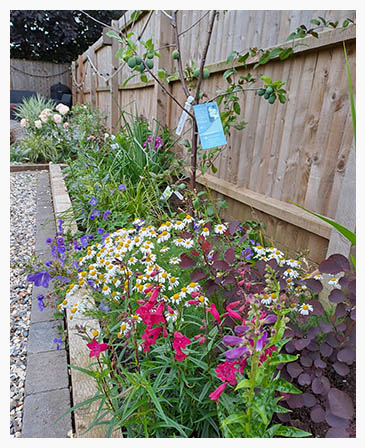 Garden digging