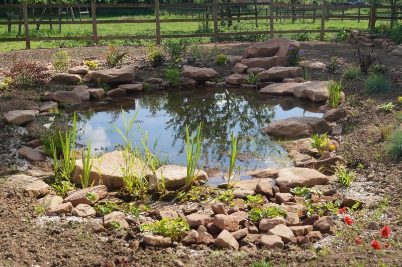 wildlife pond: Swipe To View More Images