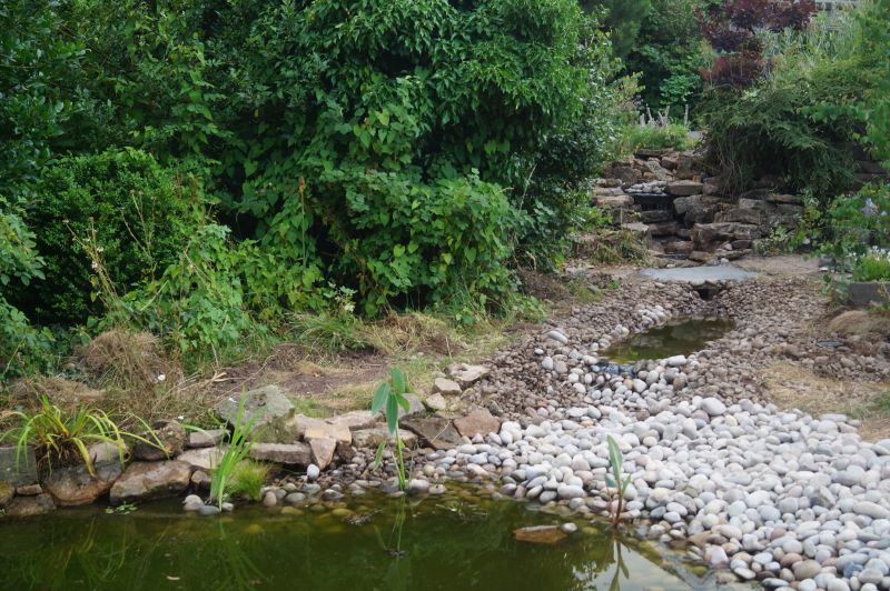wildlife pond and stream: Swipe To View More Images