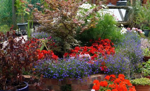 Click Here To Enlarge This Photo Of Wheelchair Friendly Wildlife Garden