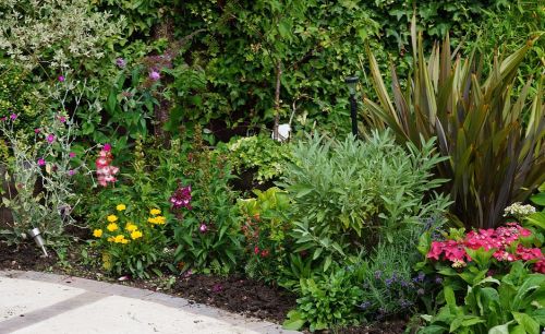 Click Here To Enlarge This Photo Of Wheelchair Friendly Wildlife Garden