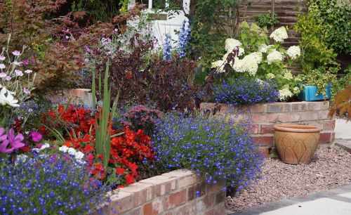 Click Here To Enlarge This Photo Of Wheelchair Friendly Wildlife Garden