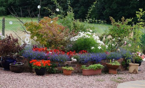 Click Here To Enlarge This Photo Of Wheelchair Friendly Wildlife Garden