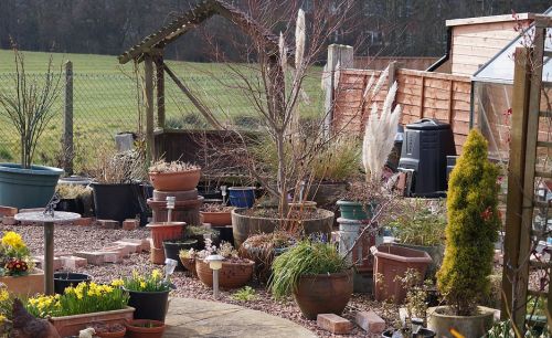 Click Here To Enlarge This Photo Of Wheelchair Friendly Wildlife Garden