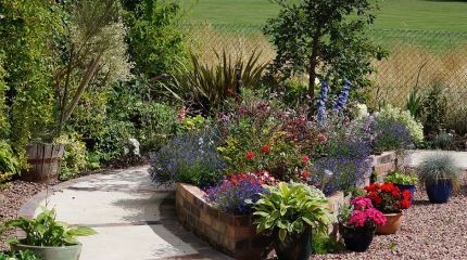 Wheelchair Friendly Wildlife Garden
