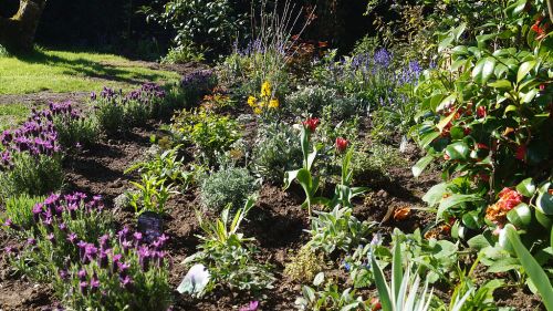 Click Here To Enlarge This Photo Of Creation of Colourful Beds
