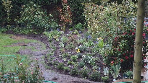 Click Here To Enlarge This Photo Of Creation of Colourful Beds