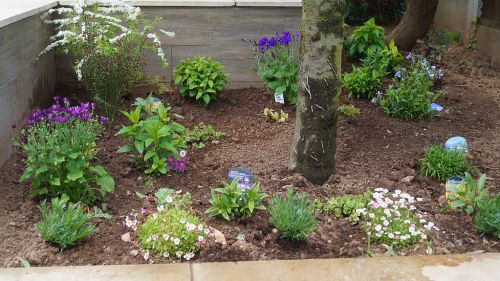 Click Here To Enlarge This Photo Of Creation of Colourful Beds