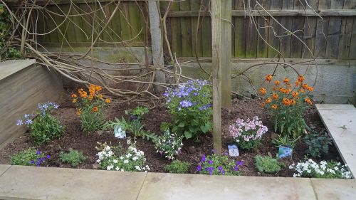 Click Here To Enlarge This Photo Of Creation of Colourful Beds