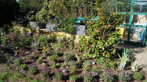 Click Here To Enlarge This Photo Of Creation of Colourful Beds