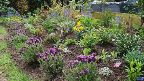 Click Here To Enlarge This Photo Of Creation of Colourful Beds