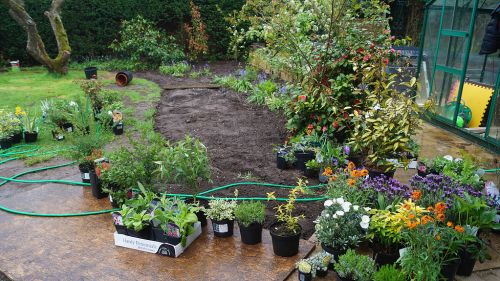 Click Here To Enlarge This Photo Of Creation of Colourful Beds