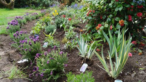 Click Here To Enlarge This Photo Of Creation of Colourful Beds