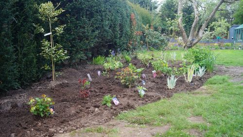 Click Here To Enlarge This Photo Of Creation of Colourful Beds