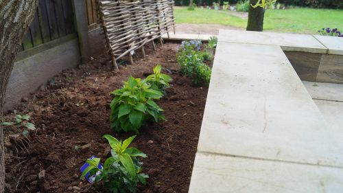 Click Here To Enlarge This Photo Of Creation of Colourful Beds
