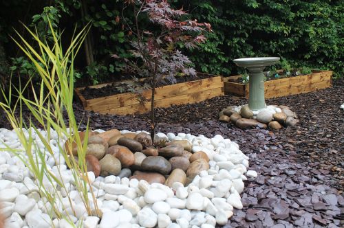 Click Here To Enlarge This Photo Of Creative Meditation Wildlife Garden