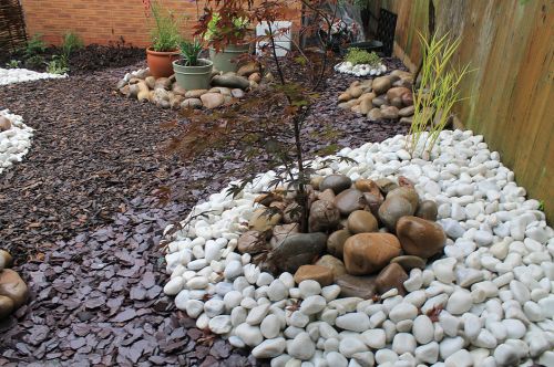 Click Here To Enlarge This Photo Of Creative Meditation Wildlife Garden