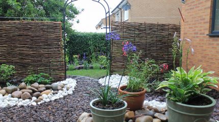 Creative Meditation Wildlife Garden