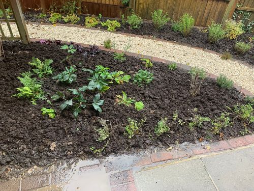 Click Here To Enlarge This Photo Of Rockery, Path and Borders