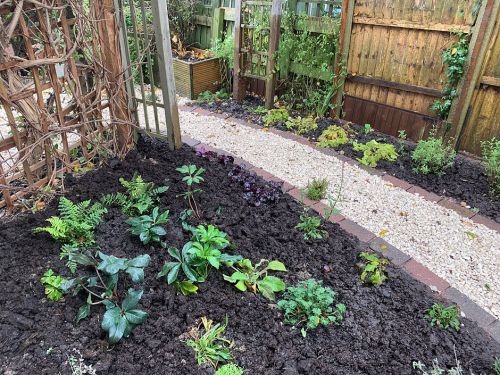 Click Here To Enlarge This Photo Of Rockery, Path and Borders