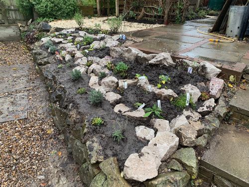 Click Here To Enlarge This Photo Of Rockery, Path and Borders