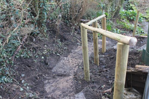 Click Here To Enlarge This Photo Of Woodland Stairway