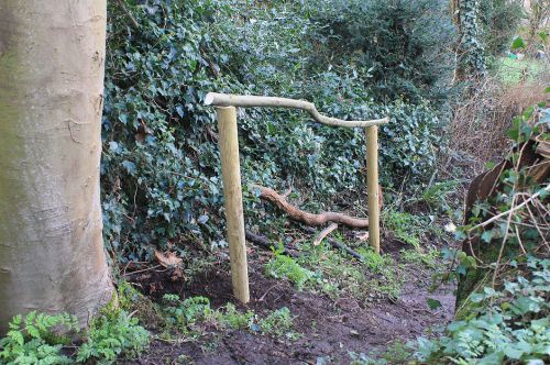 Click Here To Enlarge This Photo Of Woodland Stairway