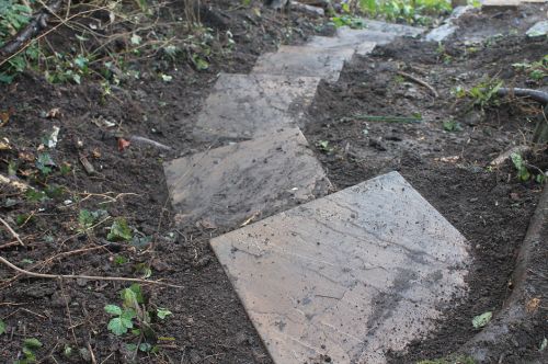Click Here To Enlarge This Photo Of Woodland Stairway