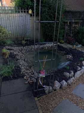 Click Here To Enlarge This Photo Of Limestone Garden