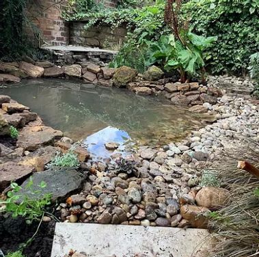 Click Here To Enlarge This Photo Of Beccy's Wildlife Pond