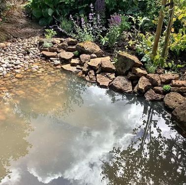 Click Here To Enlarge This Photo Of Beccy's Wildlife Pond