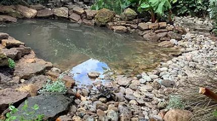 Beccy's Wildlife Pond
