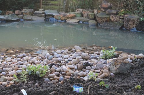 Click Here To Enlarge This Photo Of Keyworth Wildlife Pond