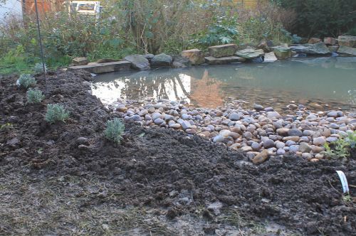 Click Here To Enlarge This Photo Of Keyworth Wildlife Pond
