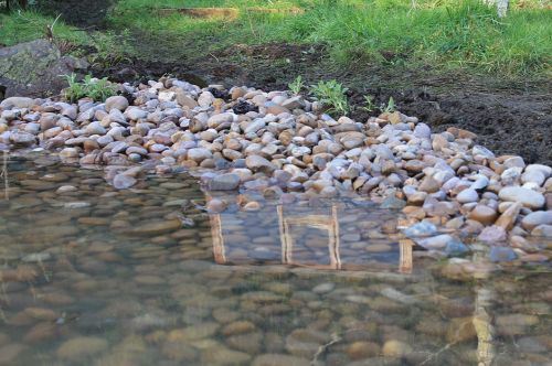 Click Here To Enlarge This Photo Of Keyworth Wildlife Pond