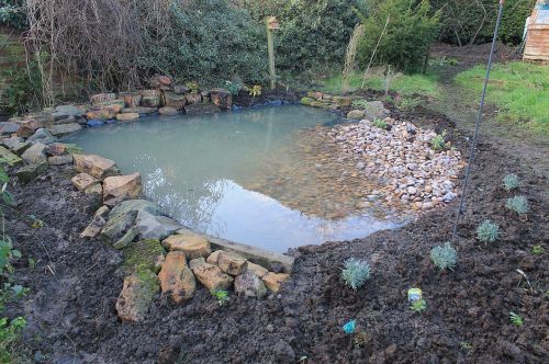 Click Here To Enlarge This Photo Of Keyworth Wildlife Pond