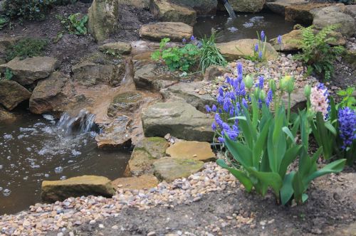 Click Here To Enlarge This Photo Of Paved Garden Redesign & Pond Creation