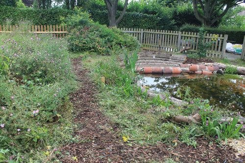 Click Here To Enlarge This Photo Of Westdale Junior School Wildlife Pond