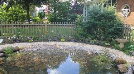 Westdale Junior School Wildlife Pond