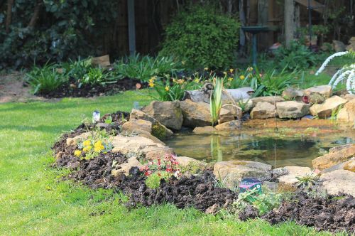 Click Here To Enlarge This Photo Of Wildlife Pond