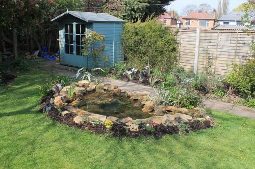 Click Here To Enlarge This Photo Of Wildlife Pond