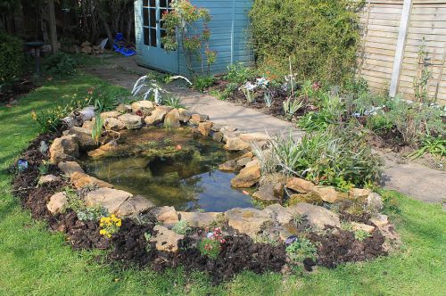 Click Here To Enlarge This Photo Of Wildlife Pond