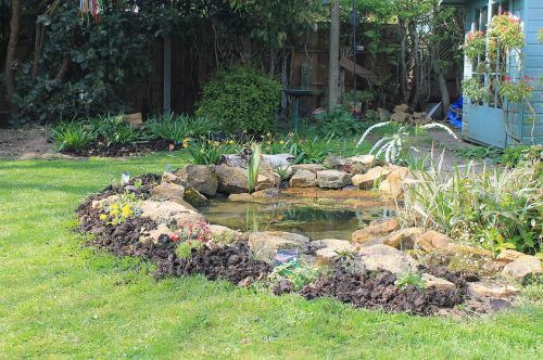Click Here To Enlarge This Photo Of Wildlife Pond