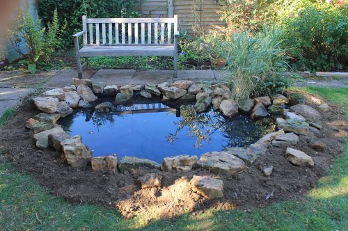 Click Here To Enlarge This Photo Of Wildlife Pond