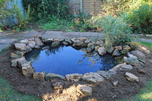 Click Here To Enlarge This Photo Of Wildlife Pond