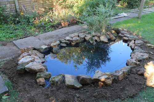 Click Here To Enlarge This Photo Of Wildlife Pond