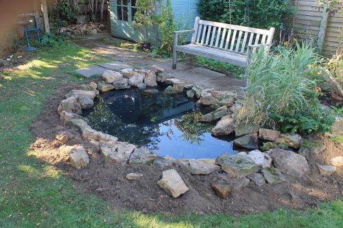 Click Here To Enlarge This Photo Of Wildlife Pond