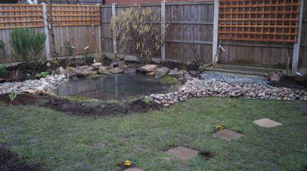 Small wildlife garden