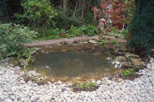 Click Here To Enlarge This Photo Of Wildlife pond